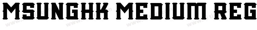 MSungHK Medium Regul字体转换